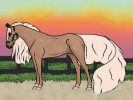 12198 SLR Have a Little Faith