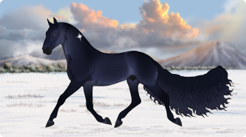 Thumbnail image for 12213