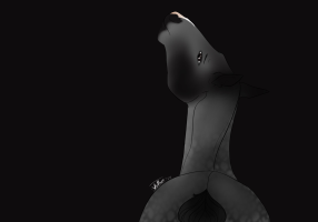 Thumbnail for 11258 BCS Black Veil