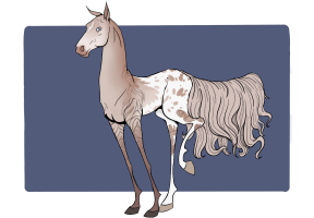 Thumbnail for 11516 SVR Riding At Dawn