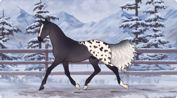 Thumbnail for 12217 PPC Kall Me Kahlua