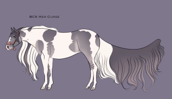 Thumbnail for 11421 BCS Her Curse