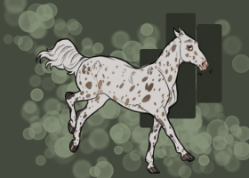 Thumbnail of 11776 Nutmeg Avalanche