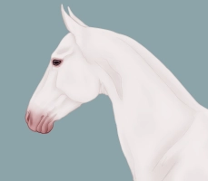 Thumbnail for 12264 White Cloud