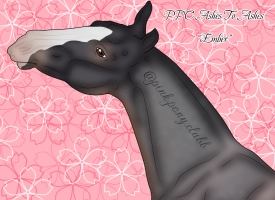 Thumbnail for 12289 PPC Ashes To Ashes