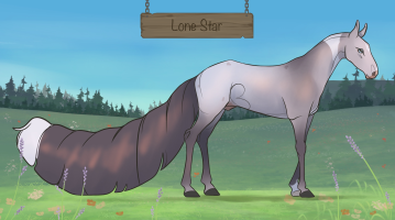 Thumbnail for 12295 Lone Star