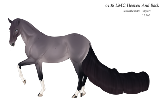 Thumbnail image for 6138 LMC Heaven And Back