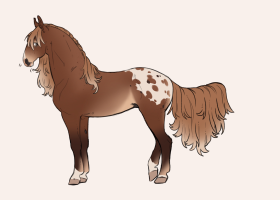 Thumbnail for 12312 CS Melbourne Magic