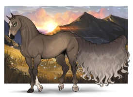 Thumbnail for 9460 Spices and Romances