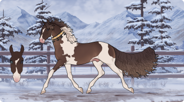 Thumbnail for 7043 LF Mocha Iced Capp