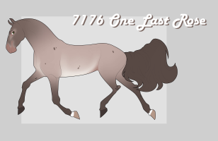 Thumbnail for 7176 One Last Rose