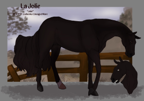 Thumbnail of 7719 La Jolie