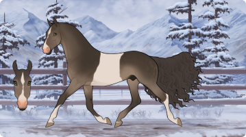 Thumbnail of 12121 OSR Sweep N Stage Right