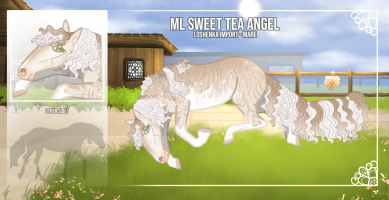 Thumbnail of 11118 ML Sweet Tea Angel