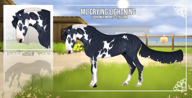 Thumbnail for 10903 ML Crying Lightning