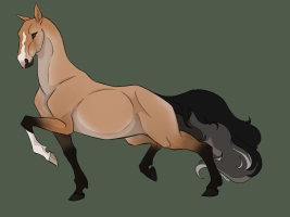 Thumbnail for 7858 Dune Dancer