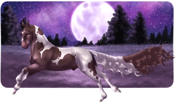 Thumbnail for 12202 Mort's Fern Rixon