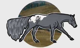 Thumbnail for 8061 Blanket Hog