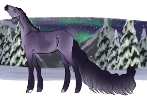 Thumbnail of 9611 Polar Nights Symphony