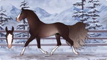 Thumbnail for 2371 PF Autobahn