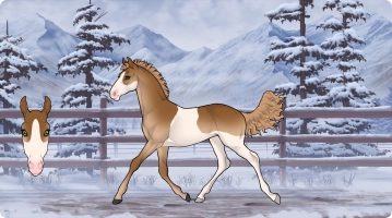 Thumbnail for 2557 SL Pumpkin Spice