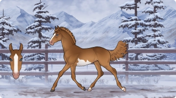 Thumbnail for 2713 Rökkvaís