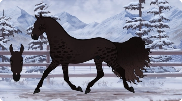 Thumbnail for 8168 Afternoon Delight