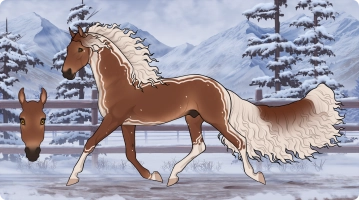 Thumbnail for 8452 ML Comfort Cookie