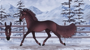 Thumbnail for 8470 SWA The Path Of The Birds