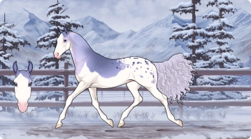 6836 Violeta Thumbnail