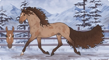 Thumbnail for 6920 PF Rendezvous