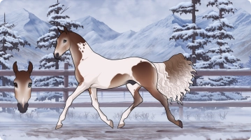 Thumbnail for 6201 Extra Foam