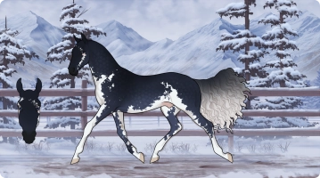 Thumbnail for 6334 Blackberry Surfer