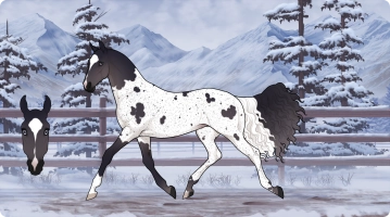 Thumbnail for 6359 JSS Secret Cow Level