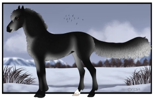 Thumbnail image for 4731 Black Dog