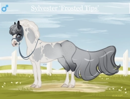 10677 Frosted Tips Thumbnail