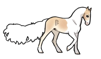 Thumbnail of 10055 JSS Shy Moscato