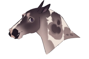 11813 Bottom of the River Thumbnail