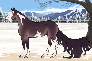 Thumbnail for 10822 Lakeside's Slowed Crystals