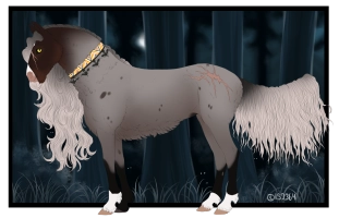 Thumbnail for 11804 Witch