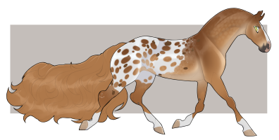 Thumbnail of 9855 Cider