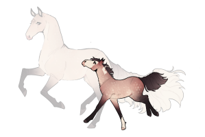 Thumbnail for 12588 Beau