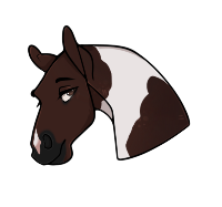 Thumbnail of 10218 BMA Rhydian