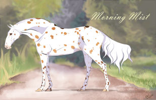 Thumbnail for 0498 Morning Mist