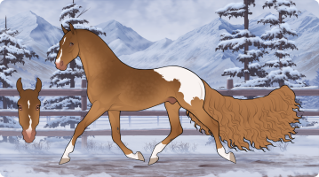 Thumbnail for 12621 OSR Poco Driftwood Hancock