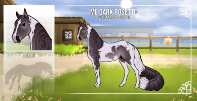 11961 ML Dark Rosette Thumbnail