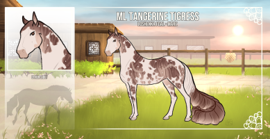 Thumbnail for 12602 ML Tangerine Tigress