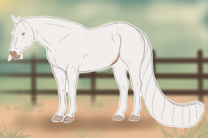 Thumbnail for 3902 OSR The Last Wish