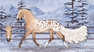 Thumbnail for 12684 OSR Caffè Corretto All'amaretto