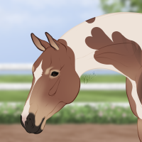 Thumbnail for 12392 SP Macchiato